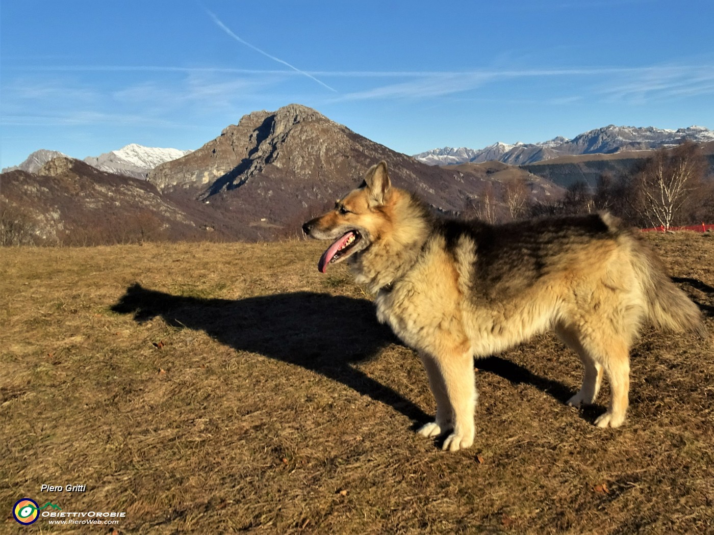 15 Oggi si va a camminare sui nostri cari monti.JPG